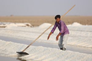 The Wounded Souls of the Rann Still 1